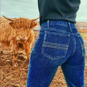 Silver label cinch jeans